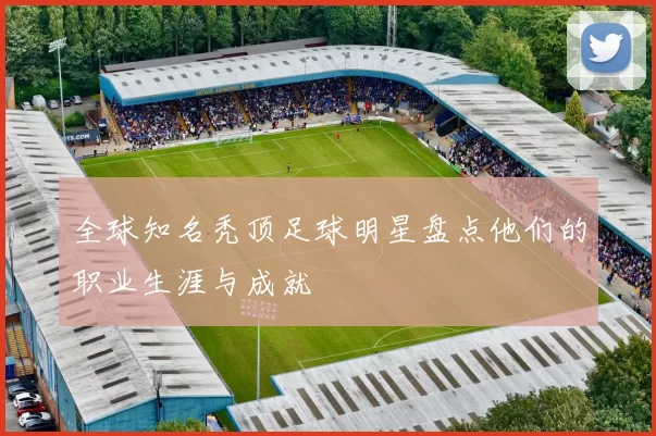 全球知名秃顶足球明星盘点他们的职业生涯与成就