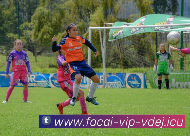 开云体育服务体系